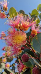 Aufkleber - Beautiful pink and yellow flowers bloom against a clear blue sky, showcasing their intricate details and vibrant colors
