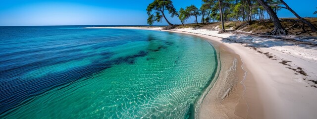 Canvas Print -  A bird's-eye perspective of a sandy shore, dotted with palm trees, and crystal-clear blue water beyond