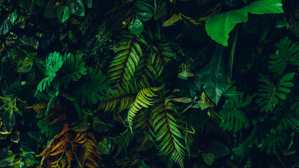 Wall Mural - Close up group of background tropical green leaves texture and abstract background. Tropical leaf nature concept.