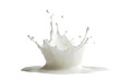 © Asier - Dynamic splash of milk isolated on white background. PNG image