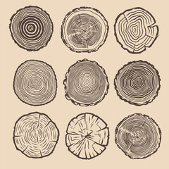 growth ring illustration. growth ring drawing. growth ring tree hand drawn. tree trunk cut illustrat