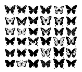 Poster - butterfly silhouettes black ink vector concepts. nature insects symmetrical wings flying bugs pollen