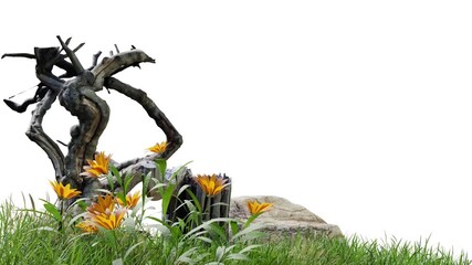 Poster - green grass and orange flower animation, 3d illustration rendering