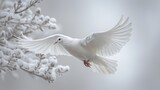 White dove flying in snowy landscape symbolizing peace and hope