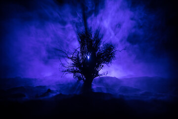 Wall Mural - silhouette of scary halloween tree with horror face on dark foggy toned background with moon on back