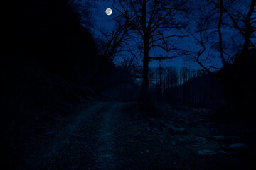 Wall Mural - mountain road through the forest on a full moon night. scenic night landscape of country road at nig