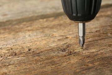 Wall Mural - Screwing screw into wooden surface, closeup. Space for text