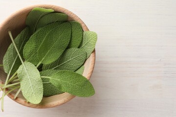 Wall Mural - Fresh sage leaves in bowl on light wooden table, top view. Space for text