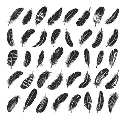 Wall Mural - beautiful feathers linocut print style icons set black on white background ornate plumage bird feath