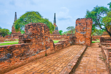 Wall Mural - The ruins of ancient shrines in Wat Phra Si Sanphet complex, Ayutthaya, Thailand