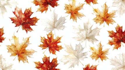 Poster -   A close-up image features a group of leaves on white background The focal point is a vibrant red and yellow maple leaf in the center