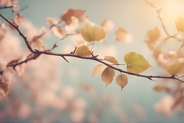  branch pastel background arrying leaf faith dove church path faithful fly bird peace panoramic symbol feather olive freedom sun love religious pigeon hope sunset silhouette tree land flight prey