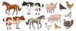 © DGIM studio - Cattle and poultry set stickers