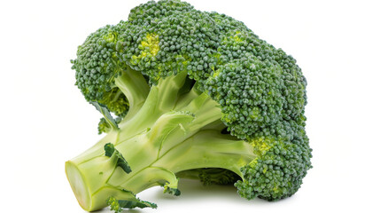 A whole broccoli isolated on white