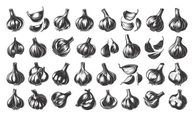 Wall Mural - Whole Garlic and Garlic Cloves Linocut Print Style Icons Set Neat Thick Strokes Shapes Black on White Background Botanical Culinary Herb Illustration Graphic Design Elements