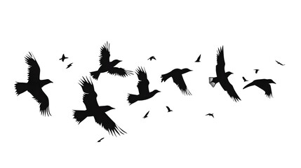 Flying birds silhouettes on white background. Vector illustration. isolated bird flying. tattoo design.