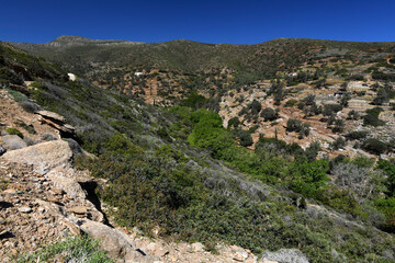 Sticker - Kulturlandschaft auf Andros (Kykladen, Griechenland) // Landscape on Andros (Cyclades, Greece)