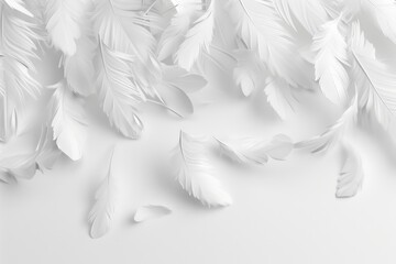 Poster - A collection of white feathers lying flat on a white surface