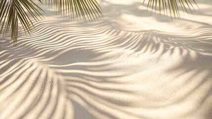 Poster - Subtle shadows created by palm leaves stretch across the warm sand, highlighting the tranquil atmosphere of a sunny day on the beach