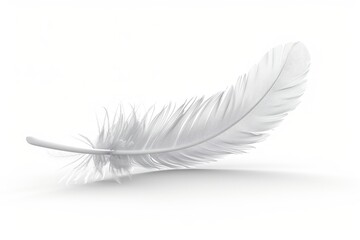 Wall Mural - A single white feather lying flat on a white surface