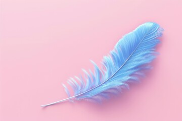 Canvas Print - A single blue feather sits on a bright pink background