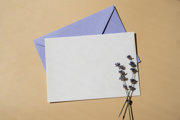 Flat lay composition of white paper greeting card on envelope with dry lavender flowers. Copy space template mock up. Top view. Concept of Wedding invitation postcard. Business advertisement brand