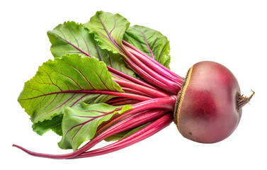 Freshly harvested red beets with vibrant greens from local garden in autumn, cut out - stock png.