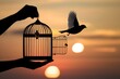© abdulmoizjaangda - Hand holding birdcage with bird in flight, sunset creating liberation scene