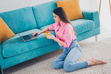 Poster - Photo of adorable sweet lady wear pink shirt staying home drinking tea browsing modern device indoors room home house