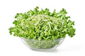 Wall Mural - Fresh green lettuce in a glass bowl