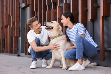 Wall Mural - Happy couple stroking cute Golden Retriever dog outdoors