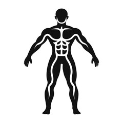 Male human body icon  and vector illustration design