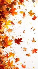 blowing leaves on a white background.