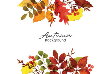 set of watercolor autumn leaves. autumn foliage watercolor collection set, fall leaves, maple leaf, 