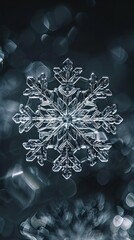 Wall Mural - snowflake conceptual image, minimalist, beautiful, centered,