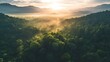 © The Little Hut - Aerial top view forest tree Rainforest ecosystem and healthy environment concept background Texture of green tree forest view from above Beautiful sunrise over the mountains of western : Generative AI
