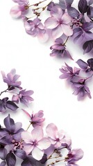 Wall Mural - A close up of a bunch of purple flowers with a white background