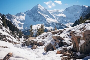 Canvas Print - Mountain nature snow wilderness.