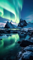 Canvas Print - Night outdoors nature aurora.