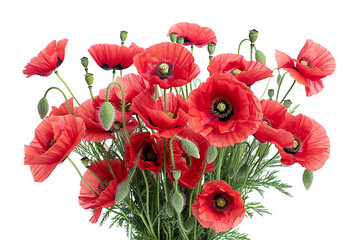 Wall Mural - Vibrant Bouquet of Red Poppies