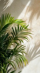 Wall Mural - Palm leaves casting shadows on a textured