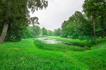 A lush green field with a pond in the middle