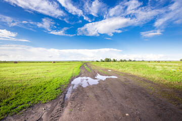 Wall Mural - A wet dirt road stretches through lush green fields under a vast sky filled with fluffy clouds, merging nature’s beauty with a tranquil rural atmosphere.