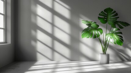 Poster - Minimalist Room with Green Plant