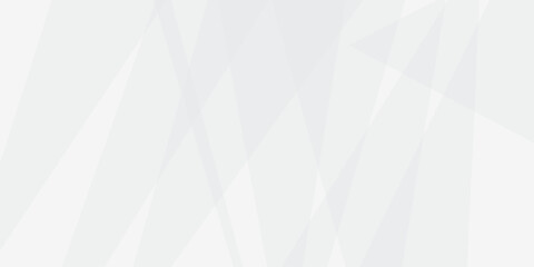 Fototapete - Abstract white and gray line background design. abstract white and grey on light silver background modern design. Low poly vector illustration. triangle pattern gradient background.	