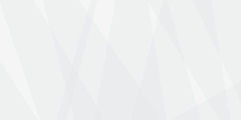 Fototapete - Abstract white and gray line background design. abstract white and grey on light silver background modern design. Low poly vector illustration. triangle pattern gradient background.	