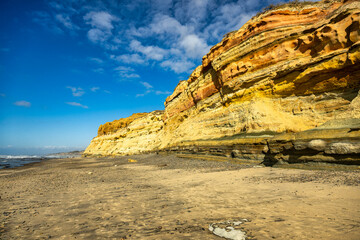 Wall Mural - 2024-01-10 A SANDY BEACH AND CLIFFS IN THE TORREY PINES STATE PARK WITH A NICE BLUE SKY NEAR LA JOLLA CALIFORNIA