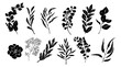© Creative_Juice_Art - Set of black silhouettes of eucalyptus leaves and branches. Vector Black outline illustrations isolated on transparent background. Trendy greenery elements for logo, tattoo, invitations, stickers.