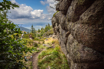 Wall Mural - Mountain forest with rocks and pathway under summer cloudy blue sky