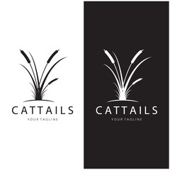 Wall Mural - cattails or river reed grass plant logo design, aquatic plants, swamp, wild grass vector